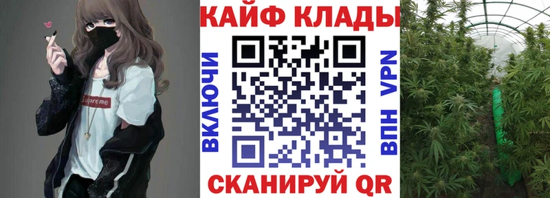 Купить Галлюциногенные грибы  Alpha-PVP  ГАШИШ  Меф мяу мяу  Cocaine  Полярный