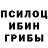 Галлюциногенные грибы Cubensis Ruslan Ramazanow