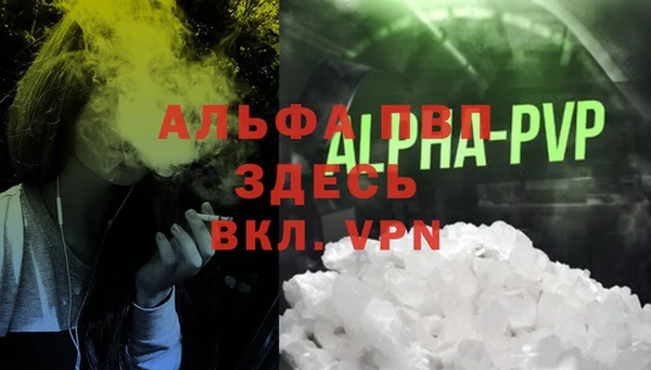 мет Ельня