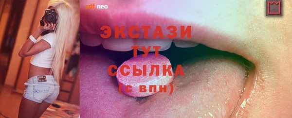 мет Ельня