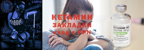 мет Ельня