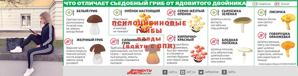 дмт Елабуга