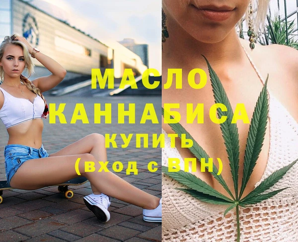 мет Ельня
