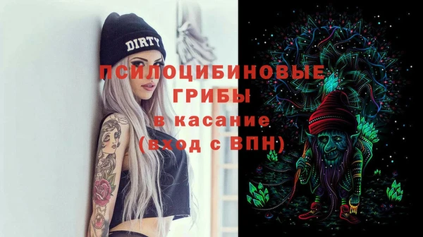 мет Елизово