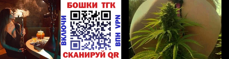 Купить  Полярный  Конопля ГИДРОПОН 